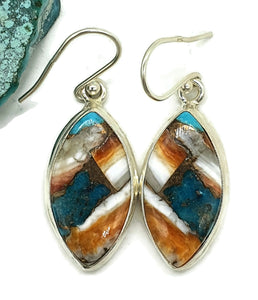 Oyster Turquoise Earrings, Sterling Silver, Spiny Oyster Shell, Marquise Shaped - GemzAustralia 