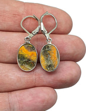 Load image into Gallery viewer, Eclipse Jasper Earrings, Bumblebee Jasper, Sterling Silver, Oval Shape - GemzAustralia 