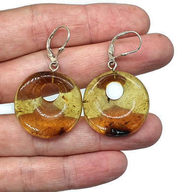 Amber Earrings, Mexican Chiapas Amber, Sterling Silver, 30 million years, Fossilized - GemzAustralia 