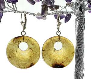 Amber Earrings, Mexican Chiapas Amber, Sterling Silver, 30 million years, Fossilized - GemzAustralia 