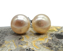 Load image into Gallery viewer, Golden Pearl Studs, Sterling Silver, June Birthstone, Freshwater Pearl Earrings - GemzAustralia 