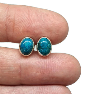 Chrysocolla Stud Earrings, Oval Shaped, Sterling Silver, Green Blue Gemstone - GemzAustralia 