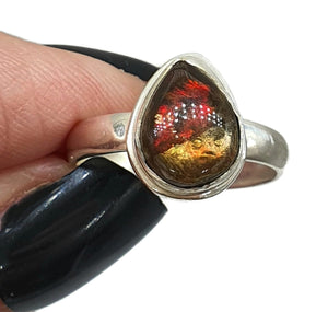 Ammolite Ring, Size 7.5, Sterling Silver, Pear Shaped, Fossilized Ammonite - GemzAustralia 