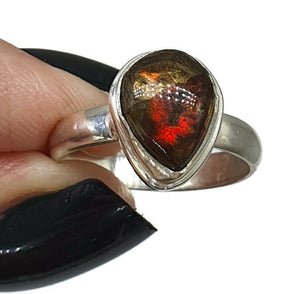 Ammolite Ring, Size 7.5, Sterling Silver, Pear Shaped, Fossilized Ammonite - GemzAustralia 