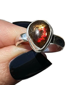 Ammolite Ring, Size 7.5, Sterling Silver, Pear Shaped, Fossilized Ammonite - GemzAustralia 