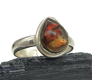 Ammolite Ring, Size 7.5, Sterling Silver, Pear Shaped, Fossilized Ammonite - GemzAustralia 