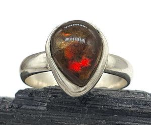 Ammolite Ring, Size 7.5, Sterling Silver, Pear Shaped, Fossilized Ammonite - GemzAustralia 