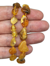 Load image into Gallery viewer, Chunky Baltic Amber Necklace, 47cm, Fossilized Tree Resin, Butterscotch Amber - GemzAustralia 