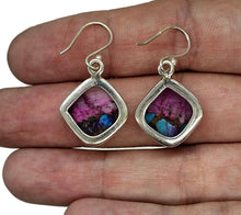 Load image into Gallery viewer, Diamond Shaped, Oyster Turquoise &amp; Pink Opal Earrings, Sterling Silver, Hot Pink Gemstone - GemzAustralia 