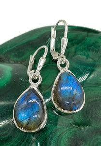 Blue sheen Labradorite Earrings, Sterling Silver, Teardrop Shape, Mystical Magical Gem - GemzAustralia 