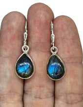 Load image into Gallery viewer, Blue sheen Labradorite Earrings, Sterling Silver, Teardrop Shape, Mystical Magical Gem - GemzAustralia 