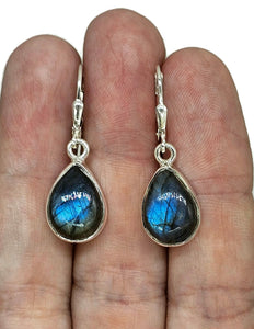 Blue sheen Labradorite Earrings, Sterling Silver, Teardrop Shape, Mystical Magical Gem - GemzAustralia 