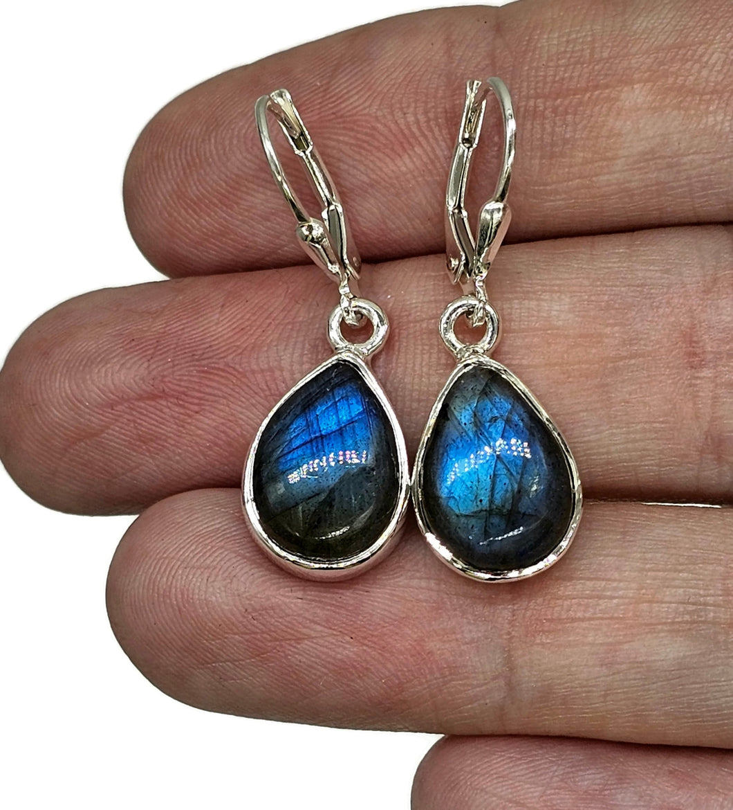 Blue sheen Labradorite Earrings, Sterling Silver, Teardrop Shape, Mystical Magical Gem - GemzAustralia 