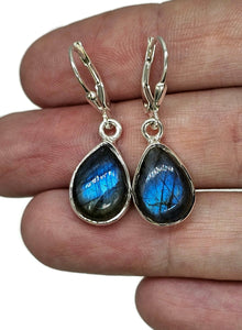 Blue sheen Labradorite Earrings, Sterling Silver, Teardrop Shape, Mystical Magical Gem - GemzAustralia 