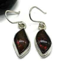 Load image into Gallery viewer, Red Ammolite Earrings, Sterling Silver, Fossilized Shells of Ammonites, Opal like Gemstone - GemzAustralia 