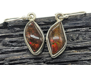 Red Ammolite Earrings, Sterling Silver, Fossilized Shells of Ammonites, Opal like Gemstone - GemzAustralia 