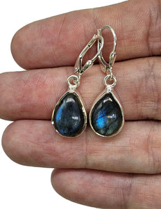 Blue sheen Labradorite Earrings, Sterling Silver, Teardrop Shape, Mystical Magical Gem - GemzAustralia 