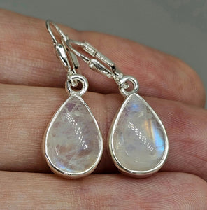 Teardrop Rainbow Moonstone Earrings, Sterling Silver, Blue Sheen Moonstone - GemzAustralia 