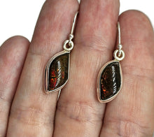 Load image into Gallery viewer, Red Ammolite Earrings, Sterling Silver, Fossilized Shells of Ammonites, Opal like Gemstone - GemzAustralia 