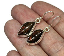 Load image into Gallery viewer, Red Ammolite Earrings, Sterling Silver, Fossilized Shells of Ammonites, Opal like Gemstone - GemzAustralia 