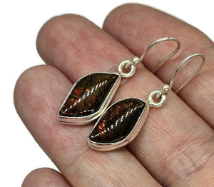 Red Ammolite Earrings, Sterling Silver, Fossilized Shells of Ammonites, Opal like Gemstone - GemzAustralia 