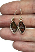 Load image into Gallery viewer, Red Ammolite Earrings, Sterling Silver, Fossilized Shells of Ammonites, Opal like Gemstone - GemzAustralia 