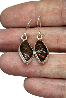 Red Ammolite Earrings, Sterling Silver, Fossilized Shells of Ammonites, Opal like Gemstone - GemzAustralia 