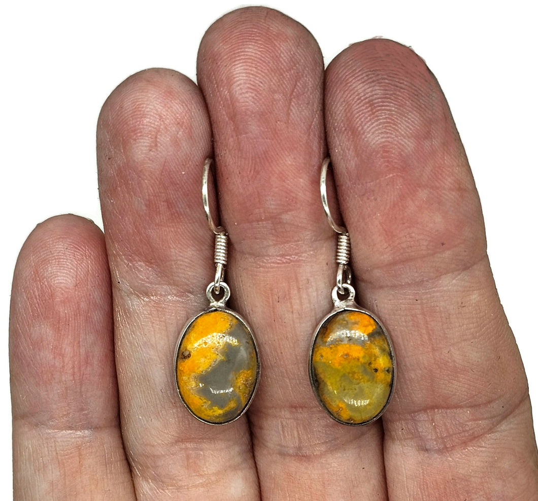 Bumblebee Jasper Earrings, Sterling Silver, Eclipse Jasper, Oval Shape - GemzAustralia 