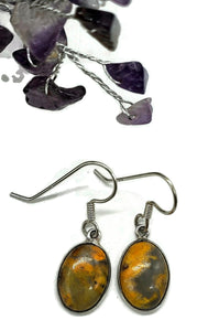 Bumblebee Jasper Earrings, Sterling Silver, Eclipse Jasper, Oval Shape - GemzAustralia 