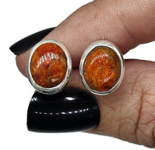 Load image into Gallery viewer, Sponge Coral Studs, Oval Shaped, Sterling Silver, Orange/Red Coral Earrings - GemzAustralia 