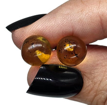 Load image into Gallery viewer, Amber Ball Studs, Mexican Chiapas Amber Earrings, Sterling Silver, 30 million years - GemzAustralia 