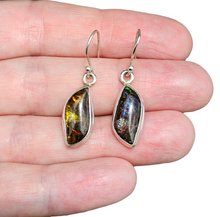 Load image into Gallery viewer, Multi Coloured Ammolite Earrings, Sterling Silver, Fossilized Shells of Ammonites, Opal like Gem, Energy Gemstone, Growth Gemstone, Natural