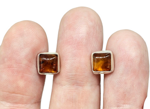 Baltic Amber Studs, Square Shaped, millions of years old, Fossilized Tree Resin, Balance, Wisdom, Strength, Success Gem - GemzAustralia 