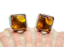 Load image into Gallery viewer, Baltic Amber Studs, Square Shaped, millions of years old, Fossilized Tree Resin, Balance, Wisdom, Strength, Success Gem - GemzAustralia 