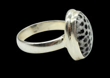 Load image into Gallery viewer, Size 6 Stingray Coral Ring, Oval Shaped, Sterling Silver, Black and White Coral, Fossilized, Honeycomb Pattern, Natural
