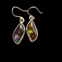 Load image into Gallery viewer, Multi Coloured Ammolite Earrings, Sterling Silver, Fossilized Shells of Ammonites, Opal like Gem, Energy Gemstone, Growth Gemstone, Natural