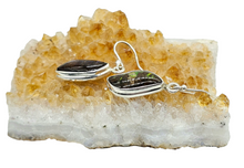 Load image into Gallery viewer, Multi Coloured Ammolite Earrings, Sterling Silver, Fossilized Shells of Ammonites, Opal like Gem, Energy Gemstone, Growth Gemstone, Natural