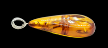 Load image into Gallery viewer, Cognac Amber Pendant, Sterling Silver, Millions of years old, Fossilized Tree Resin, Balance Gem, Wisdom Gem, Genuine