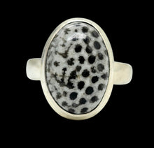 Load image into Gallery viewer, Size 6 Stingray Coral Ring, Oval Shaped, Sterling Silver, Black and White Coral, Fossilized, Honeycomb Pattern, Natural