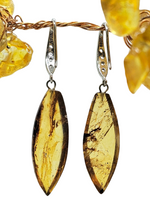 Load image into Gallery viewer, Amber Earrings, Mexican Chiapas Amber, Sterling Silver, Marquise Shape, millions of years old, Fossilized Tree Resin