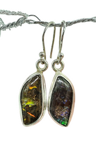 Load image into Gallery viewer, Multi Coloured Ammolite Earrings, Sterling Silver, Fossilized Shells of Ammonites, Opal like Gem, Energy Gemstone, Growth Gemstone, Natural