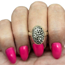 Load image into Gallery viewer, Size 6 Stingray Coral Ring, Oval Shaped, Sterling Silver, Black and White Coral, Fossilized, Honeycomb Pattern, Natural