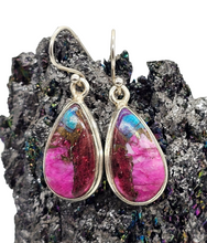 Load image into Gallery viewer, Oyster Turquoise &amp; Pink Opal Earrings, Sterling Silver, Pear Shaped, Hot Pink Gemstone, Spiny Oyster Shell, Courage Stone - GemzAustralia 