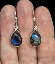 Load image into Gallery viewer, Blue Labradorite Earrings, Sterling Silver, Pear Shaped, Mystical Magical Gemstone, Companion through Change - GemzAustralia 