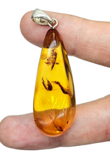 Load image into Gallery viewer, Cognac Amber Pendant, Sterling Silver, Millions of years old, Fossilized Tree Resin, Balance Gem, Wisdom Gem, Genuine