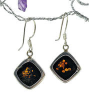 Load image into Gallery viewer, Baltic Amber Earrings, Diamond Shape, millions of years old, Sterling Silver, Fossilized Tree Resin, Cognac Amber