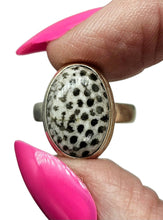 Load image into Gallery viewer, Size 6 Stingray Coral Ring, Oval Shaped, Sterling Silver, Black and White Coral, Fossilized, Honeycomb Pattern, Natural