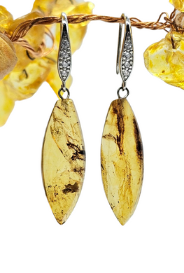 Amber Earrings, Mexican Chiapas Amber, Sterling Silver, Marquise Shape, millions of years old, Fossilized Tree Resin