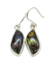Load image into Gallery viewer, Multi Coloured Ammolite Earrings, Sterling Silver, Fossilized Shells of Ammonites, Opal like Gem, Energy Gemstone, Growth Gemstone, Natural