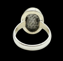 Load image into Gallery viewer, Size 6 Stingray Coral Ring, Oval Shaped, Sterling Silver, Black and White Coral, Fossilized, Honeycomb Pattern, Natural